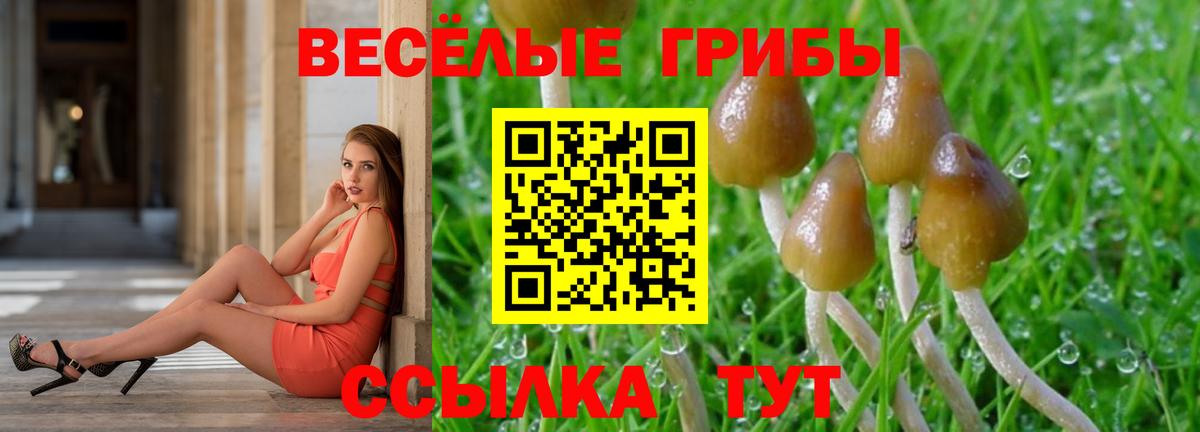Галлюциногенные грибы ЛСД  Вход с VPN  Чистополь 